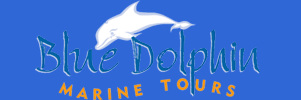 Blue Dolphin Tours